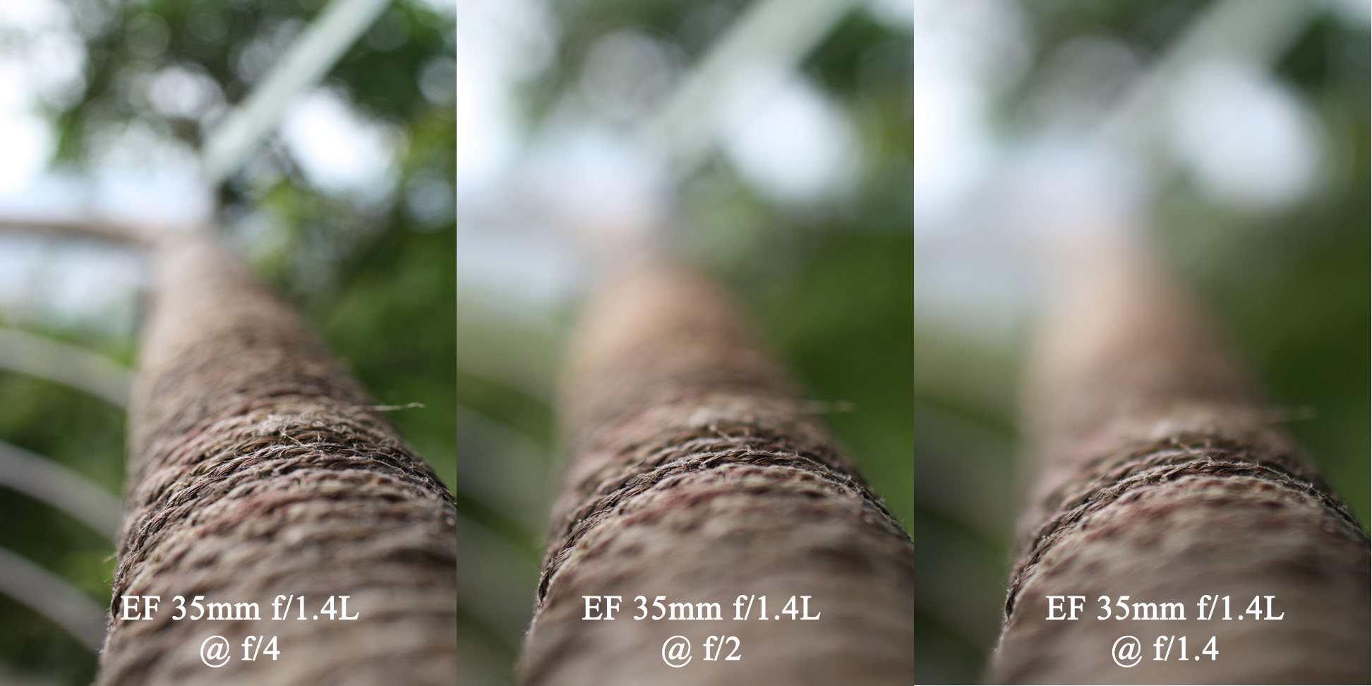 Aperture f/4 vs f/2 vs f1.4  Just about Photography